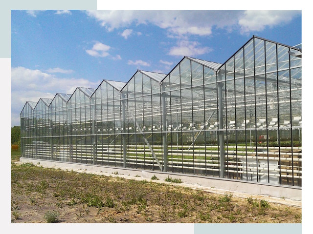 Строительство теплиц в Мелеуз от 614 руб. за м²
