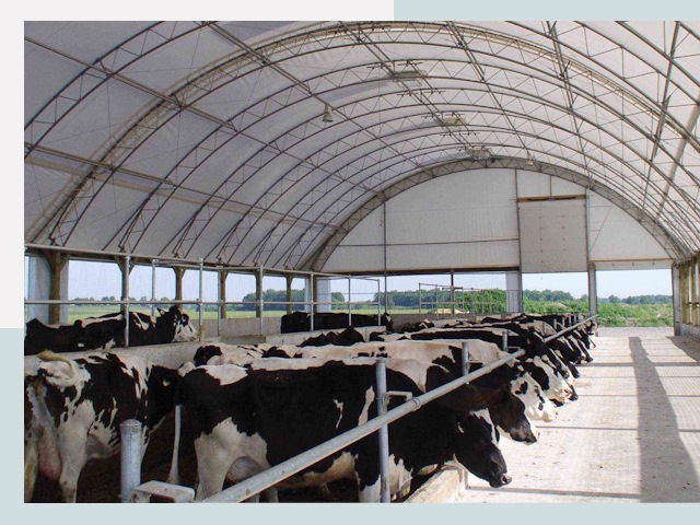 Тентовые коровники в Мелеузе